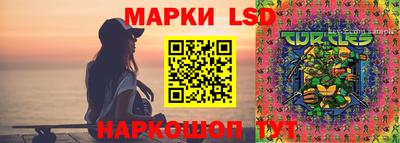 apvp Можайск