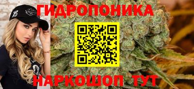 дурь Можга