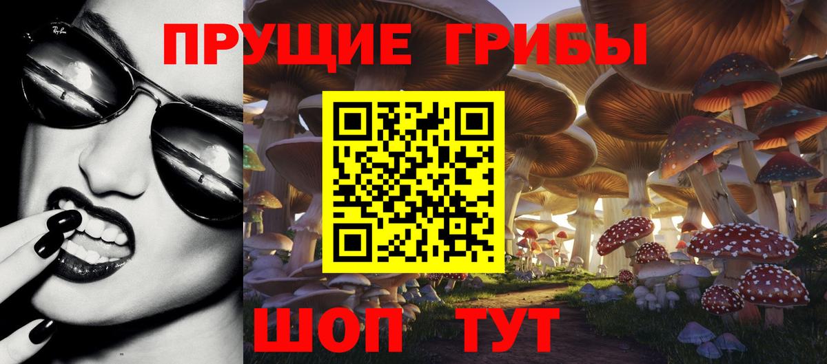 Псилоцибиновые грибы мухоморы Большой Камень