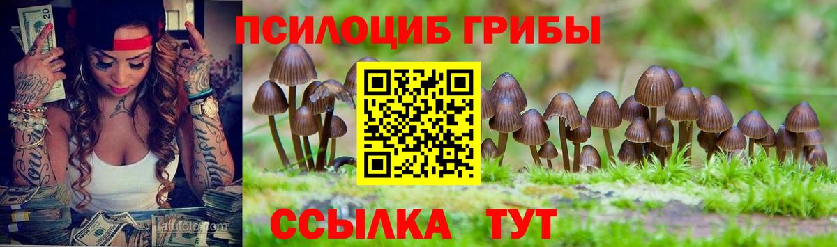 Галлюциногенные грибы Psilocybe  Вход с VPN  где продают наркотики  Большой Камень  Галлюциногенные грибы прущие грибы 